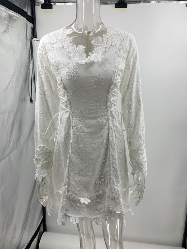 Long Sleeve Lace V-Neck Slim Fit Short Dress